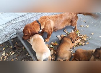 Aurelia - Aus ihrer Liebe wurden sieben Wunder - jetzt braucht Aurelia ein Wunder für sich!