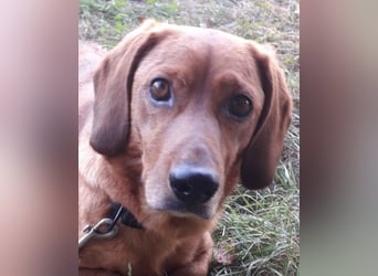 Aurelia - Aus ihrer Liebe wurden sieben Wunder - jetzt braucht Aurelia ein Wunder für sich!