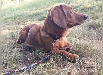 Aurelia - Aus ihrer Liebe wurden sieben Wunder - jetzt braucht Aurelia ein Wunder für sich!