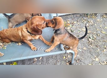 Aurelia - Aus ihrer Liebe wurden sieben Wunder - jetzt braucht Aurelia ein Wunder für sich!