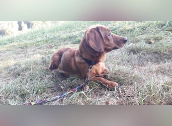 Aurelia - Aus ihrer Liebe wurden sieben Wunder - jetzt braucht Aurelia ein Wunder für sich!