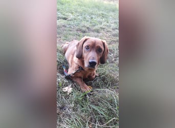 Aurelia - Aus ihrer Liebe wurden sieben Wunder - jetzt braucht Aurelia ein Wunder für sich!