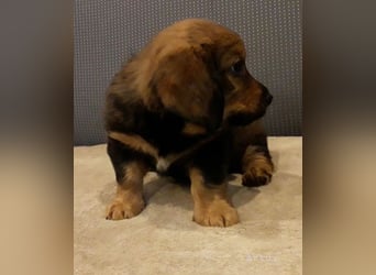 Artur - Ein Herz, sieben Geschwister, eine Mama