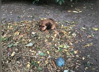 Augustus - Ein Herz, sieben Geschwister, eine Mama