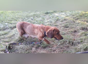 Aurelia - Aus ihrer Liebe wurden sieben Wunder - jetzt braucht Aurelia ein Wunder für sich!