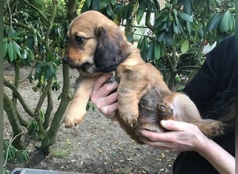 Augustus - Ein Herz, sieben Geschwister, eine Mama