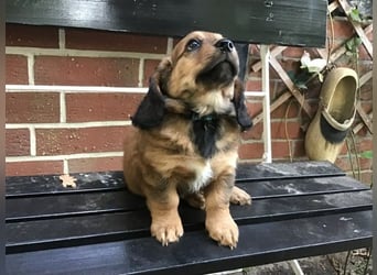 Augustus - Ein Herz, sieben Geschwister, eine Mama