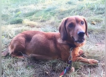 Aurelia - Aus ihrer Liebe wurden sieben Wunder - jetzt braucht Aurelia ein Wunder für sich!