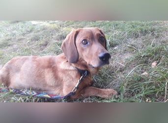 Aurelia - Aus ihrer Liebe wurden sieben Wunder - jetzt braucht Aurelia ein Wunder für sich!