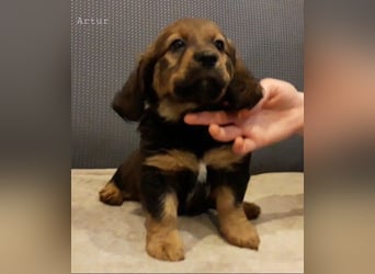 Artur - Ein Herz, sieben Geschwister, eine Mama