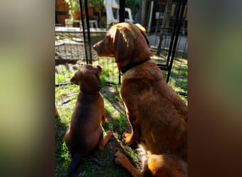 Aurelia - Aus ihrer Liebe wurden sieben Wunder - jetzt braucht Aurelia ein Wunder für sich!