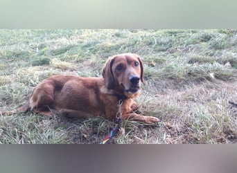 Aurelia - Aus ihrer Liebe wurden sieben Wunder - jetzt braucht Aurelia ein Wunder für sich!