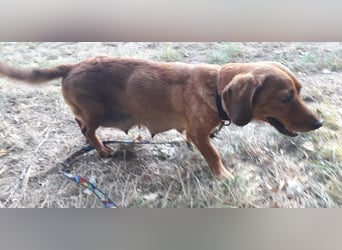 Aurelia - Aus ihrer Liebe wurden sieben Wunder - jetzt braucht Aurelia ein Wunder für sich!