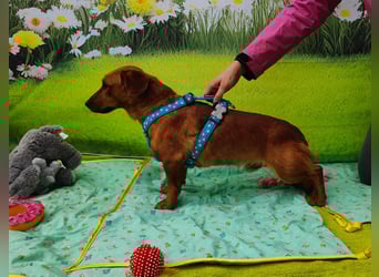 Tekergö möchte endlich ankommen