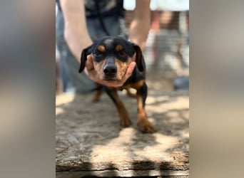 Alizee-wer dacktelt da ins neue Heim?