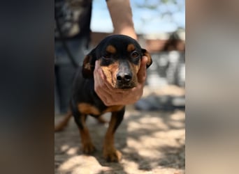 Alizee-wer dacktelt da ins neue Heim?