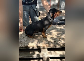 Alizee-wer dacktelt da ins neue Heim?