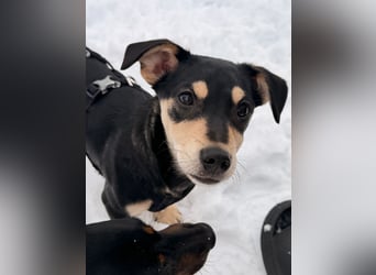 Luns in 31700 Heuerßen