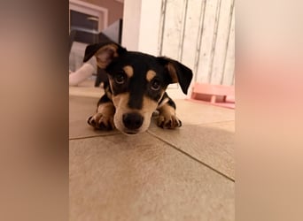 Luns in 31700 Heuerßen