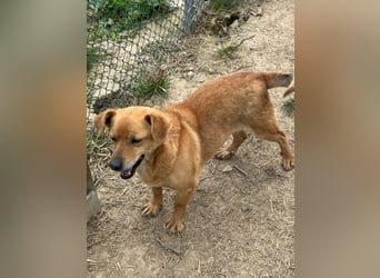 Bobo - kleiner Schatz