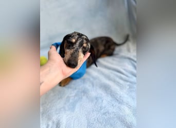Evelyn - Kleine Herzensdame möchte endlich Liebe nachholen