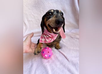 Evelyn - Kleine Herzensdame möchte endlich Liebe nachholen