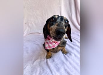 Evelyn - Kleine Herzensdame möchte endlich Liebe nachholen