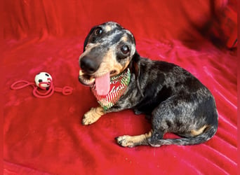 Evelyn - Kleine Herzensdame möchte endlich Liebe nachholen