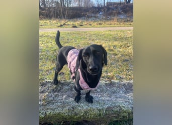 Sumi LM – Powerpaket auf der Suche nach ihrem Traumzuhause 