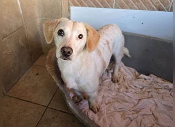 Anna Maria - schau mir in die Augen, Kleines!