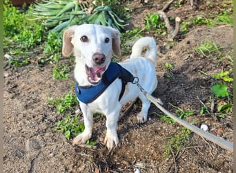 RESERVIERT !! Anna Maria - schau mir in die Augen, Kleines!