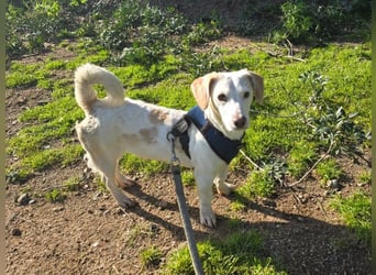 Anna Maria - schau mir in die Augen, Kleines!