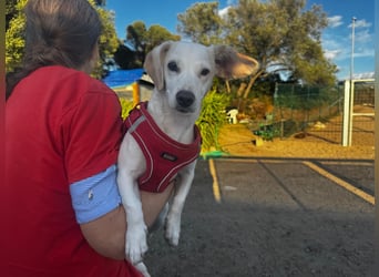 Anna Maria - schau mir in die Augen, Kleines!
