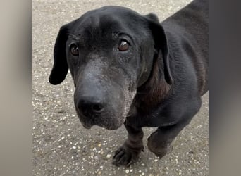 DARUN - LEBENSABEND GESUCHT