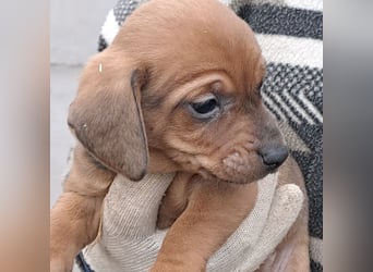 MINNIE IST BEREIT FÜRS LEBEN