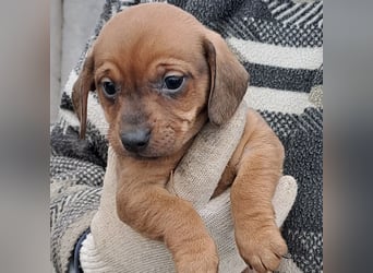 MINNIE IST BEREIT FÜRS LEBEN