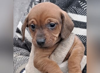 MINNIE IST BEREIT FÜRS LEBEN