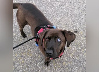 NERINA MUSS IHR ZUHAUSE VERLASSEN