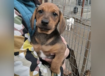 KIRA - AUF IN DIE GROßE WELT