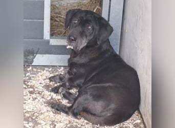 DARUN - LEBENSABEND GESUCHT