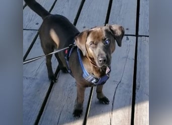 NERINA MUSS IHR ZUHAUSE VERLASSEN