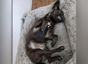 NERINA MUSS IHR ZUHAUSE VERLASSEN