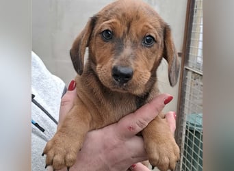 JULIE - AUF DER SUCHE NACH GEBORGENHEIT