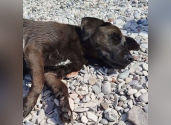 NERINA MUSS IHR ZUHAUSE VERLASSEN