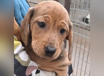 NANCY MÖCHTE DIE WELT KENNENLERNEN