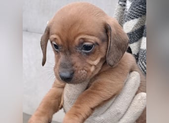 MINNIE IST BEREIT FÜRS LEBEN