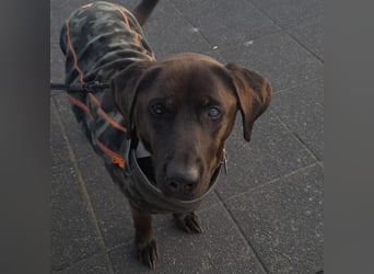 NERINA MUSS IHR ZUHAUSE VERLASSEN