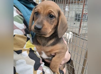 KIRA - AUF IN DIE GROßE WELT