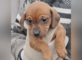 MINNIE IST BEREIT FÜRS LEBEN