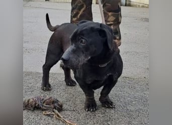 DARUN - LEBENSABEND GESUCHT